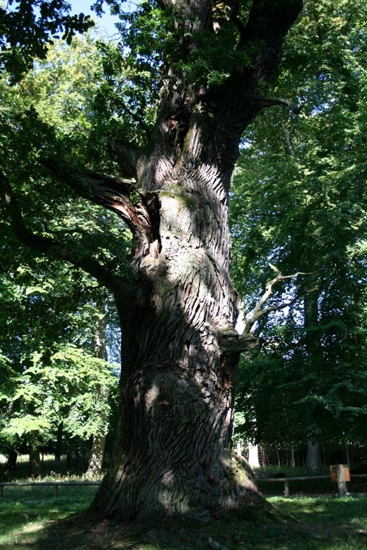 Killikus&reg; Fotographie